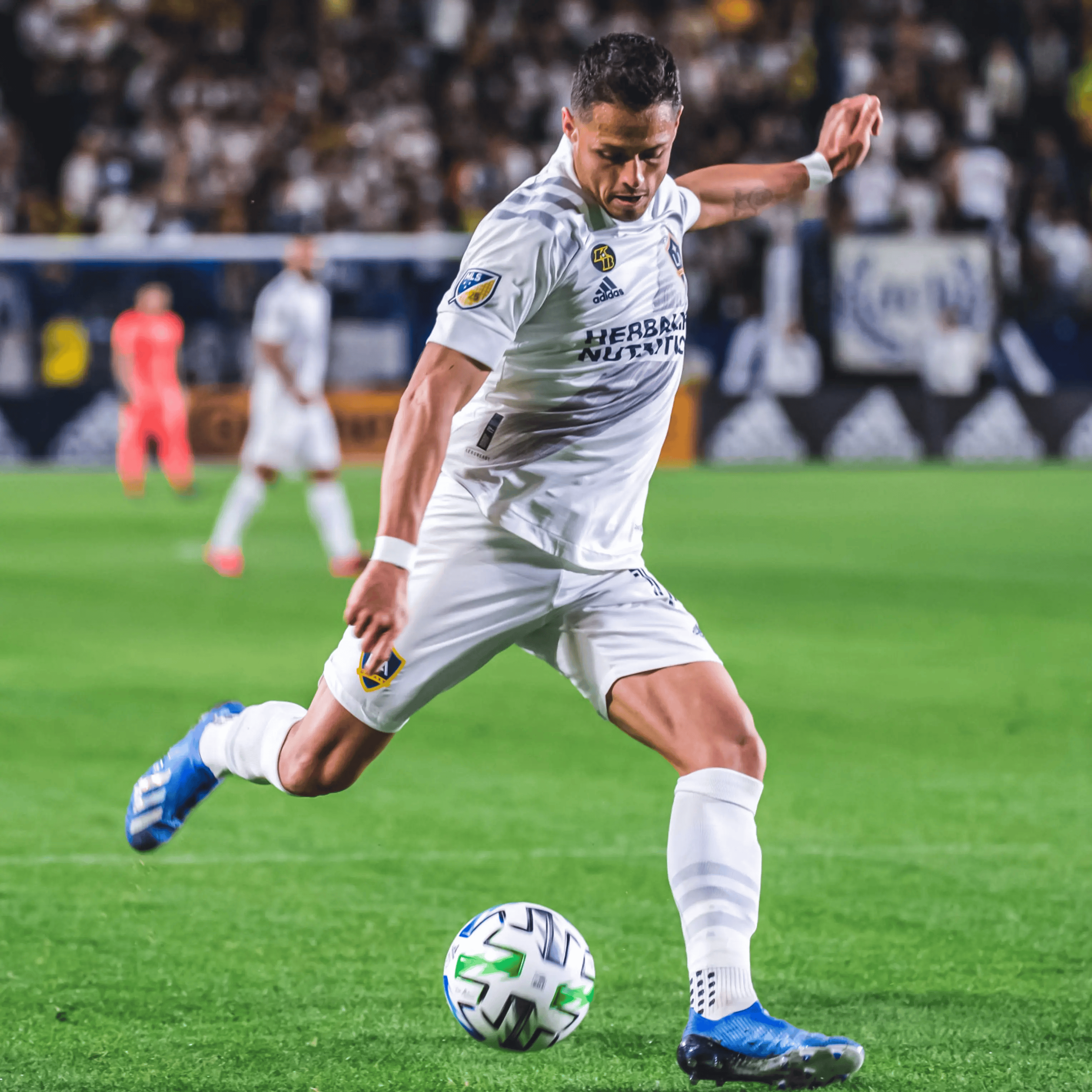 包含集结日NBA总决赛焦点战；洛杉矶湖人刷新队史纪录；赛场秩序良好；纪律约束更严格的词条-开云体育官网